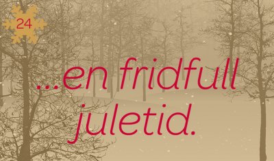 FSL:s önskelista i jul