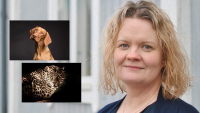 Uppgift #7 – Vilken ledartyp är du?