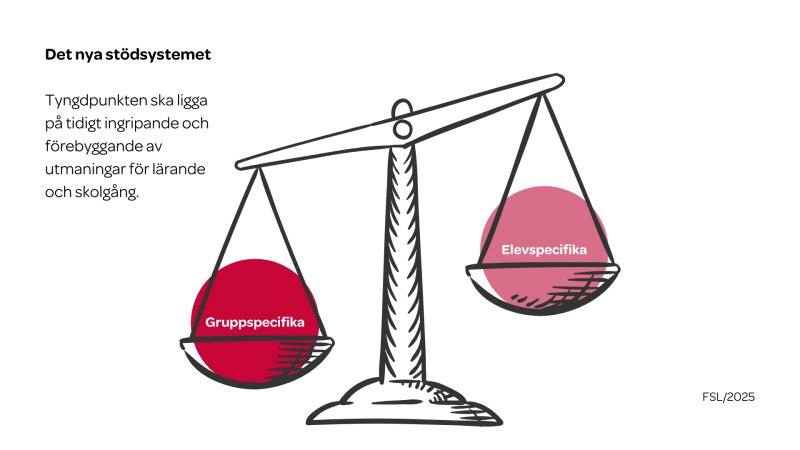 Det förnyade stödet-  intressebevakningsguide för FSL-aktiva